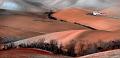716 - THE RED VALLEY - BARONI ROBERTO - italy